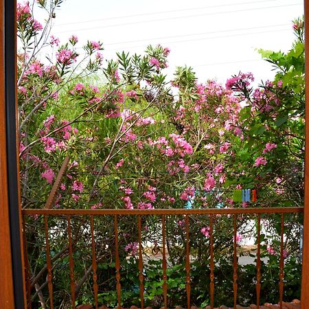 Villa Poseidon 达利安 外观 照片