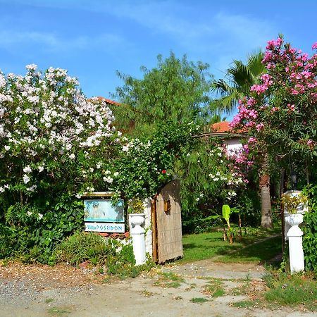 Villa Poseidon 达利安 外观 照片