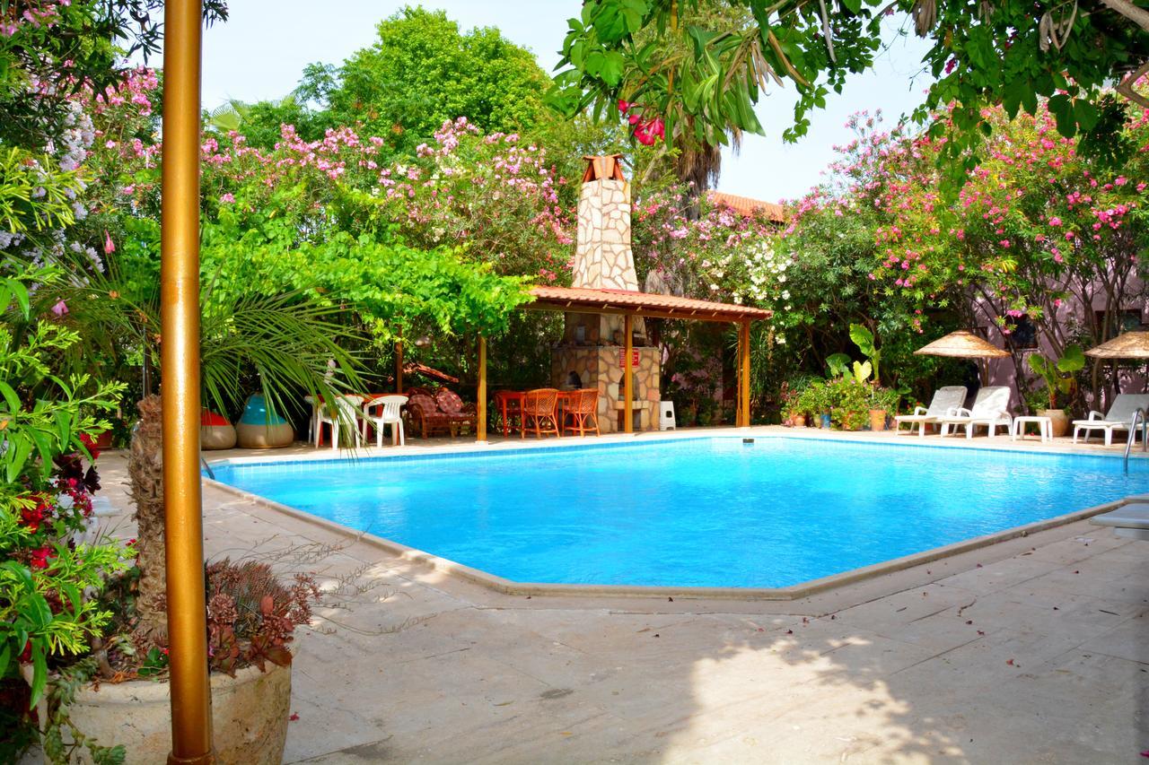 Villa Poseidon 达利安 外观 照片