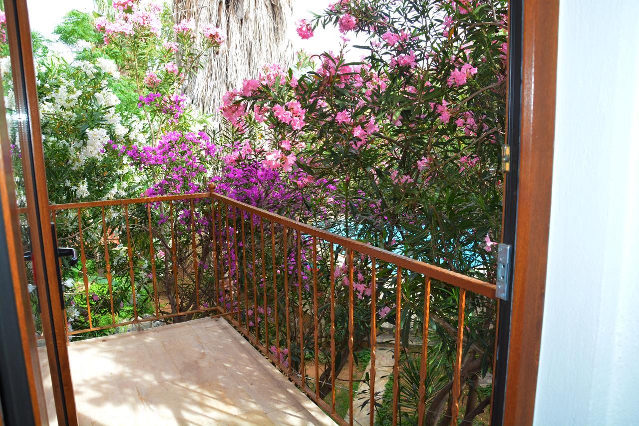 Villa Poseidon 达利安 外观 照片