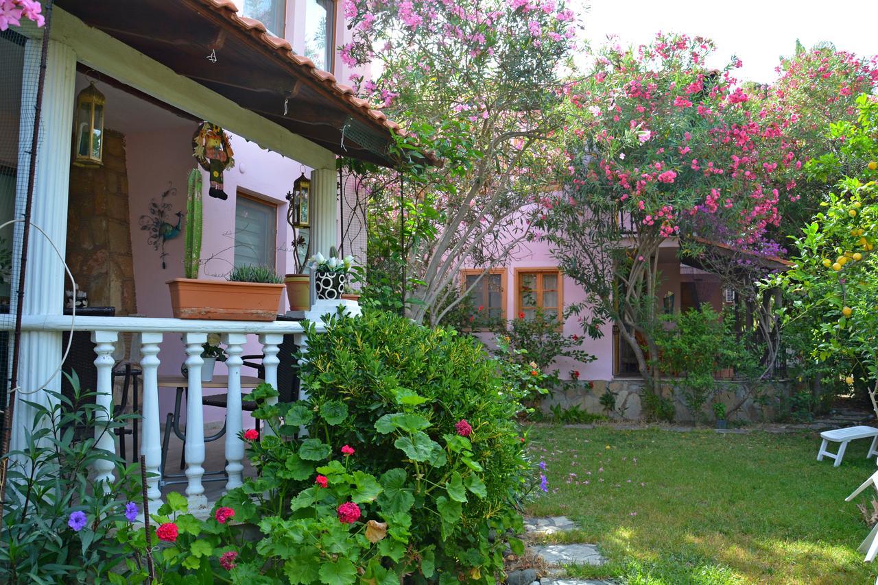 Villa Poseidon 达利安 外观 照片