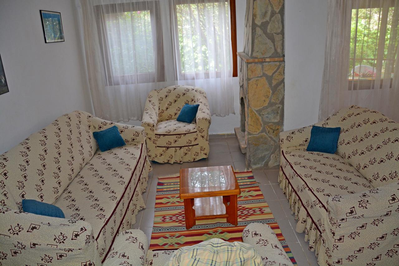 Villa Poseidon 达利安 外观 照片