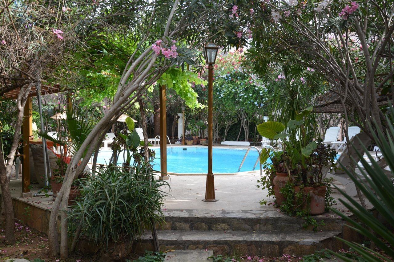 Villa Poseidon 达利安 外观 照片